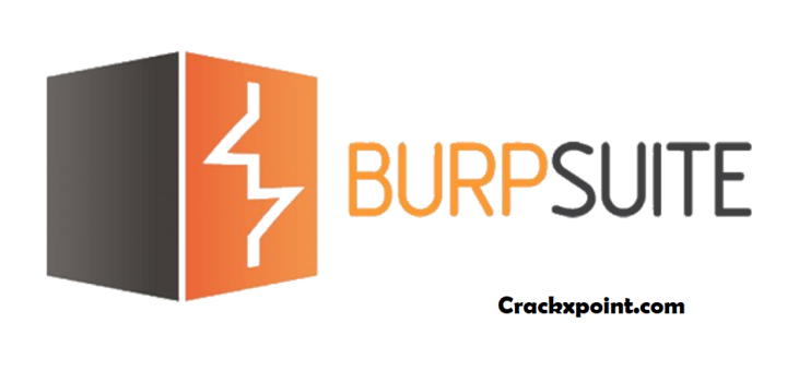 Burp Suite crack