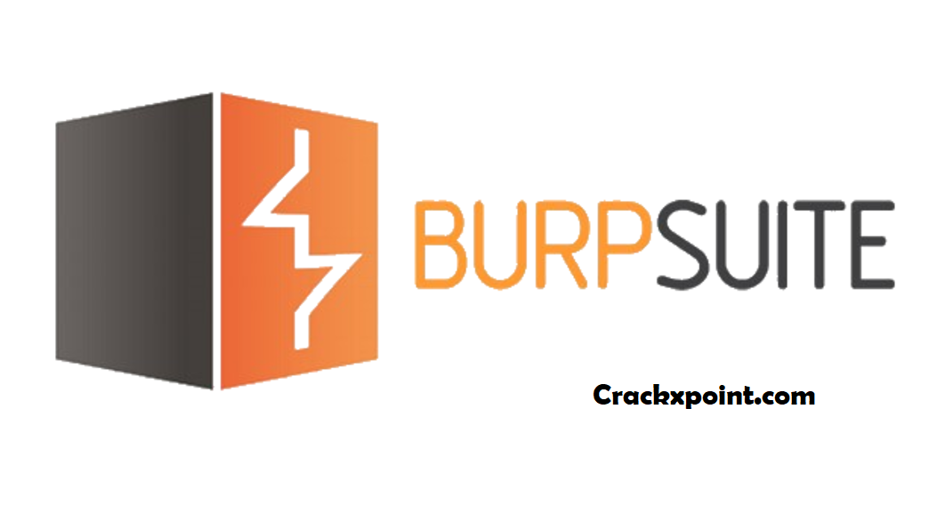 Burp Suite crack