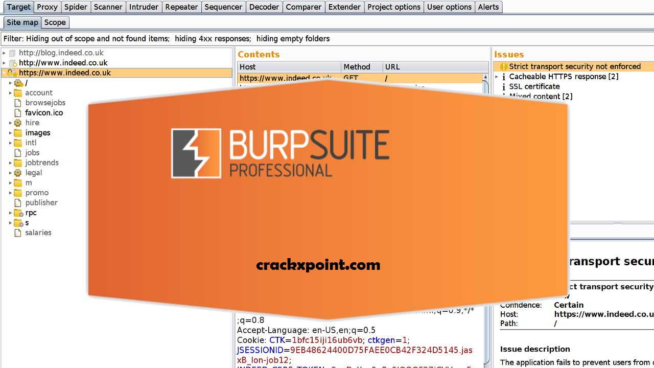 Burp Suite crack